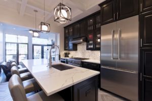 Baltimore Kitchen Renovation Design Build
