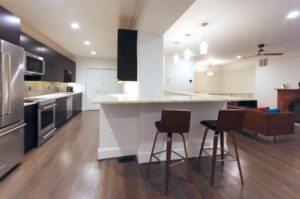 Mount Vernon Baltimore Design Build Kitchen Addition Renovation